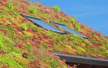 Wateringbury living roof systems